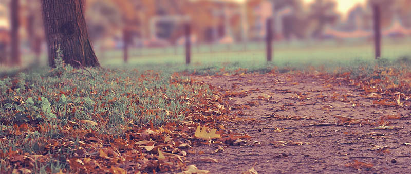 在线电话轰炸软件